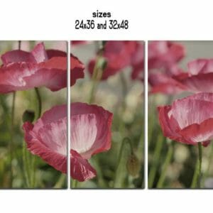 3 Panel Floral Wall Art | Extra Large Floral Canvas Wall Art