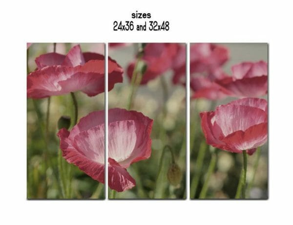 3 Panel Floral Wall Art | Extra Large Floral Canvas Wall Art