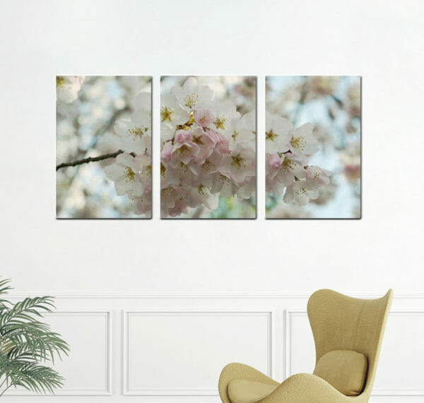 Cherry Blossom Wall Art | Set of 3 | Bedroom Wall Decor