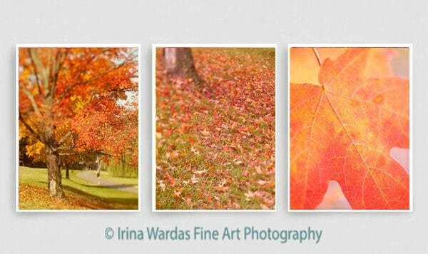 Autumn Wall Art | Orange Coral Red | Tryptich Nature Art Decor