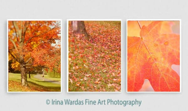 Autumn Wall Art | Orange Coral Red  | Tryptich Nature Art Decor
