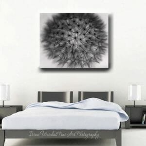 Large Black and White Dandelion Canvas Wall Art
