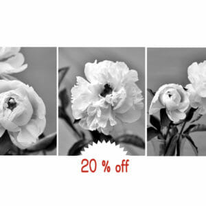 Black and White Peony Wall Decor | Vertical Shabby Chic Floral Wall Art