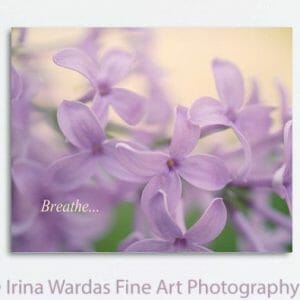Lilac Floral Wall Art