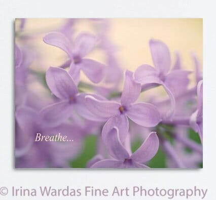 Lilac Wall Art | Pastel Lilac Floral Wall Decor | Nursery Wall Art Decor