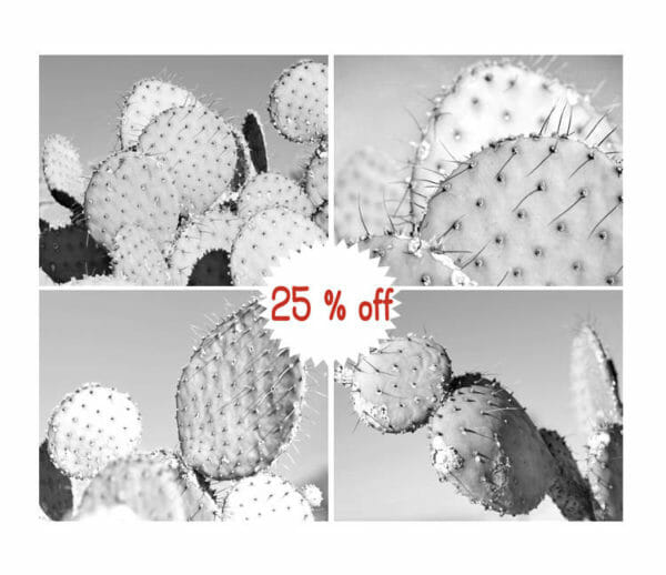 Black and White Cactus Wall Art | Set of 4 | Succulent Wall Decor