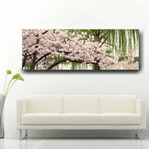 Panoramic Cherry Blossom Tree Wall Art