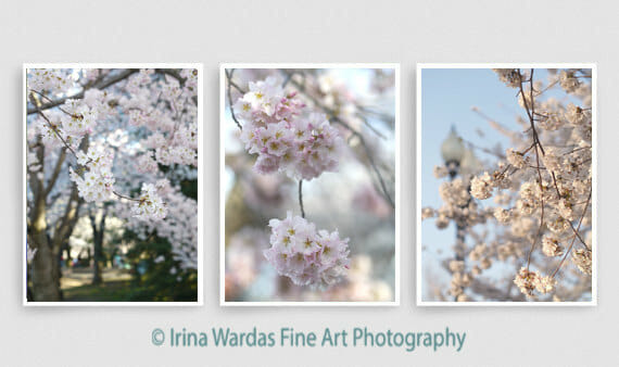 Spring Cherry Blossom Wall Art Set | Vertical Floral Wall Decor