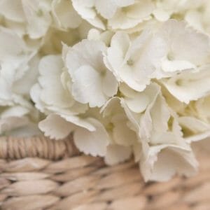 Ivory Floral Wall Decor | Country Chic Decor | Hydrangea Wall Art