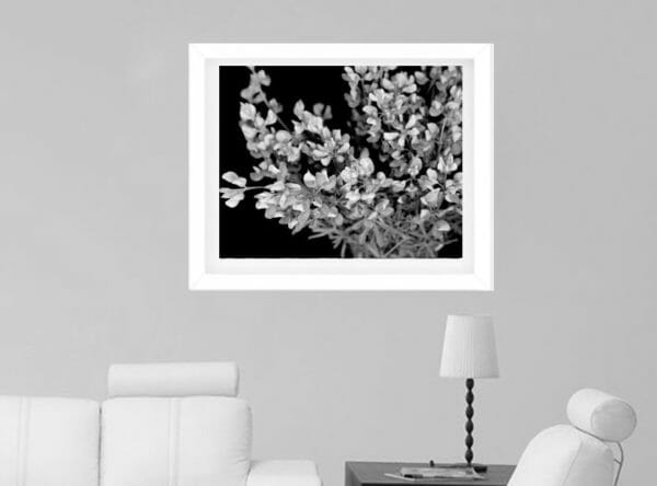 Black and White Floral Wall Decor