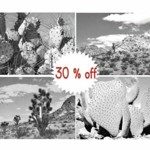 Black and White Cactus Wall Decor