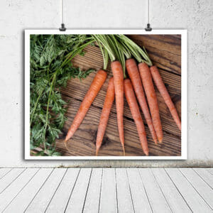 Rustic Farmhouse Kitchen Wall Art | Carrot Food Wall Decor