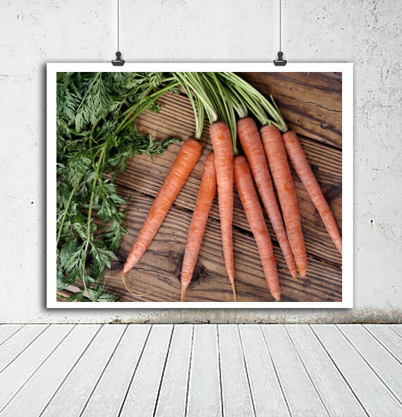 Rustic Farmhouse Kitchen Wall Art | Carrot Food Wall Decor