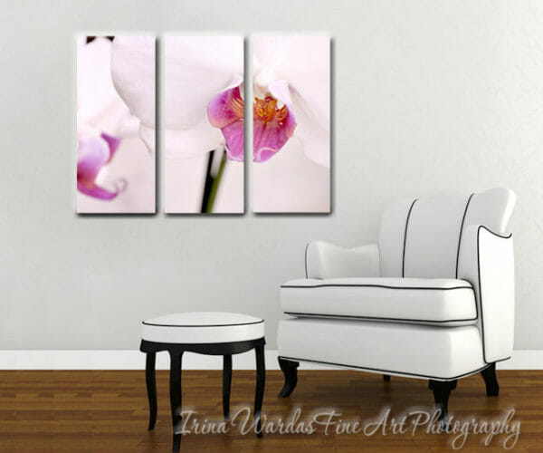 3 Piece Orchid Flower Wall Art