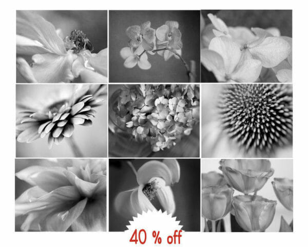 Black and White Floral Wall Decor Set of 9