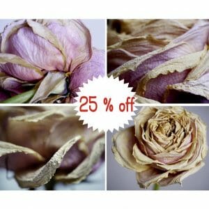 Dry Rose Floral Wall Art | Set of 4 | Dry Flower Wall Art | 25% Discount