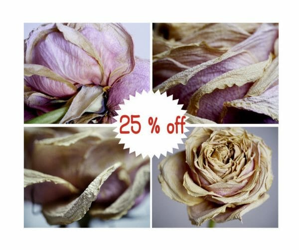 Dry Rose Floral Wall Art | Set of 4 | Dry Flower Wall Art | 25% Discount