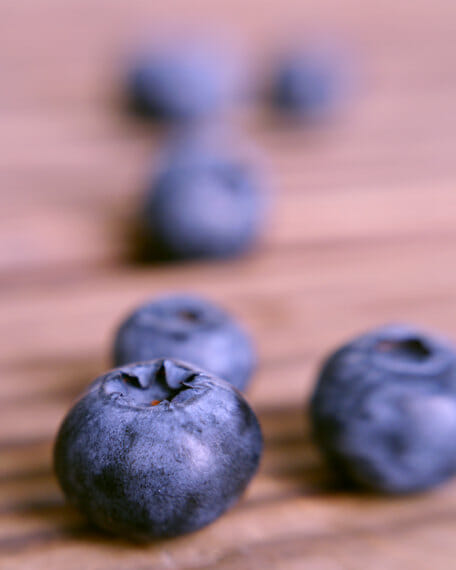 Blueberry Photo Meditation