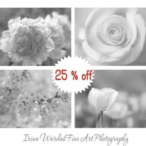 4 Piece Black and White Flower Wall Art