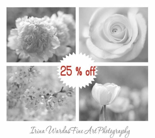 4 Piece Black and White Flower Wall Art