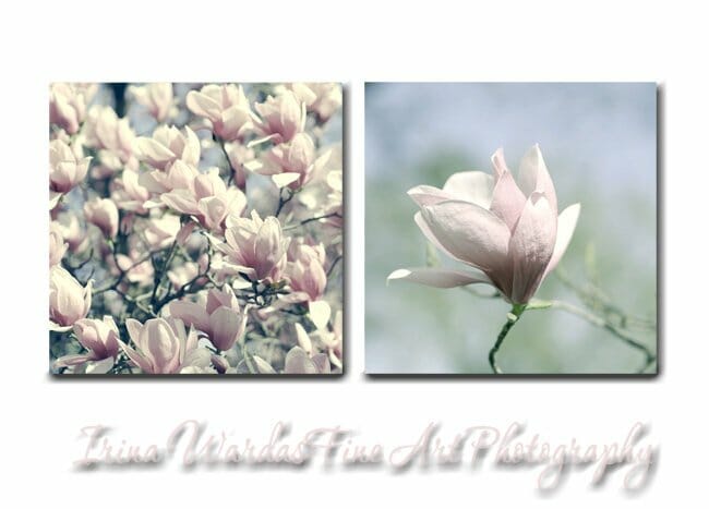 Magnolia Floral Wall Art | Large Floral Canvas Art Set | Dusty Pink
