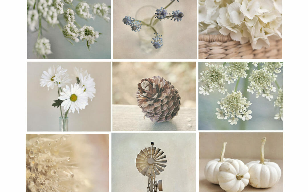Shabby Chic Rustic Wall Art Collection | Set of 9 Prints