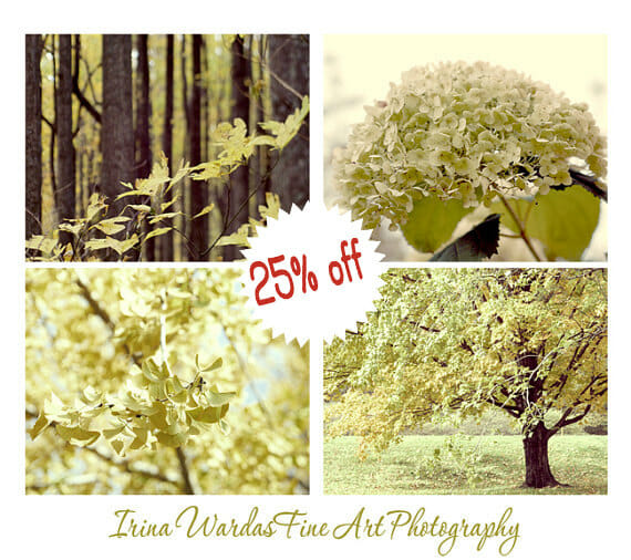 Brown Sage Green Nature Photography Wall Art Set of 4
