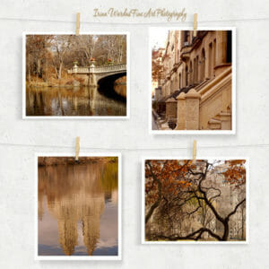 Central Park in the Fall Wall Art | Upper East Side | Manhattan Wall Decor