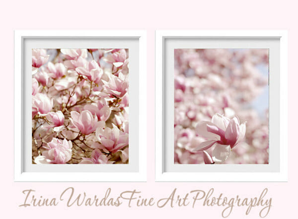Pink Magnolia Wall Art Set of 2 | Vertical Pictures | Shabby Chic Wall Decor