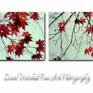 Red and Mint Leaves | Maple Tree Branch Wall Art | Canvas Set of 2
