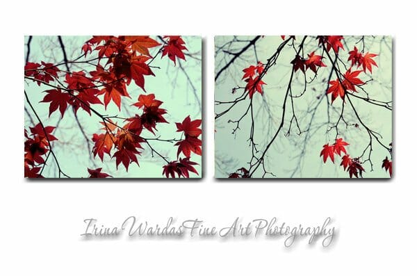 Red and Mint Leaves Wall Art | Maple Tree Branch Wall Art | Canvas Set