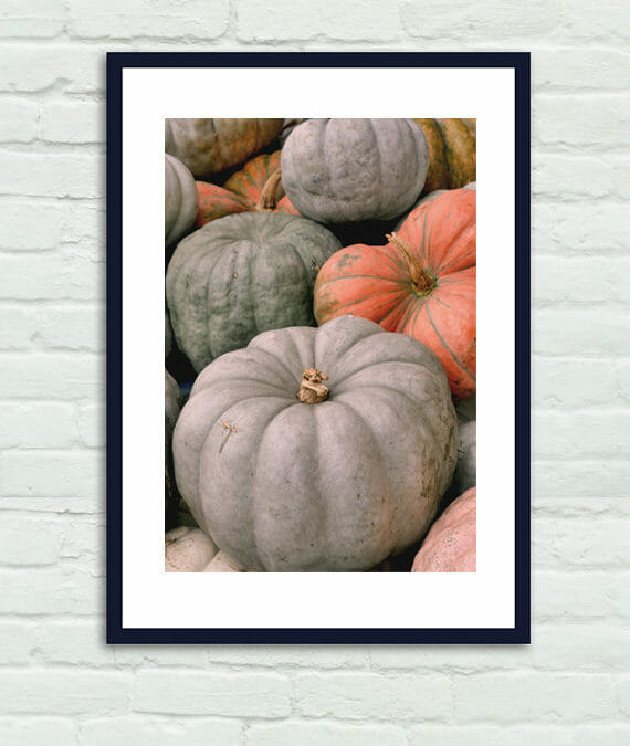 Grey Pumpkin Photography | Rustic Fall Wall Decor | Country Farm Wall Art