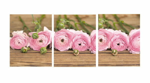 Triptych Floral Wall Art | Ranunculus Wall Decor | Pink Shabby Chic Decor
