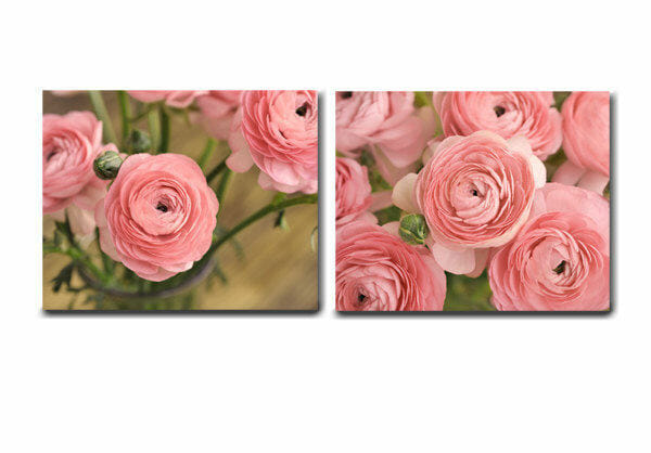 Ranunculus Wall Art Set of 2 | Coral Pink Floral Rustic Wall Decor