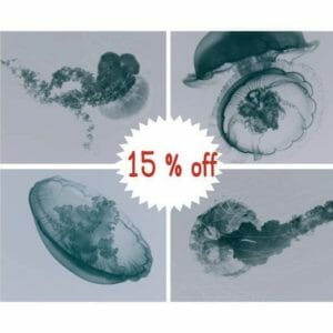 4 piece set of Teal and Gray Jellyfish Wall Art | Nautical Art Decor | Modern Bathroom Wall Art