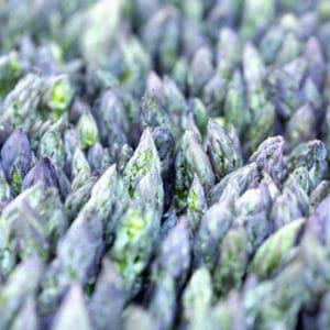 Vegetable Photography Print | Asparagus Wall Art | Green Purple Wall Art