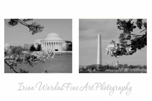 Black and White DC Wall Art | Washington DC Monuments Wall Art