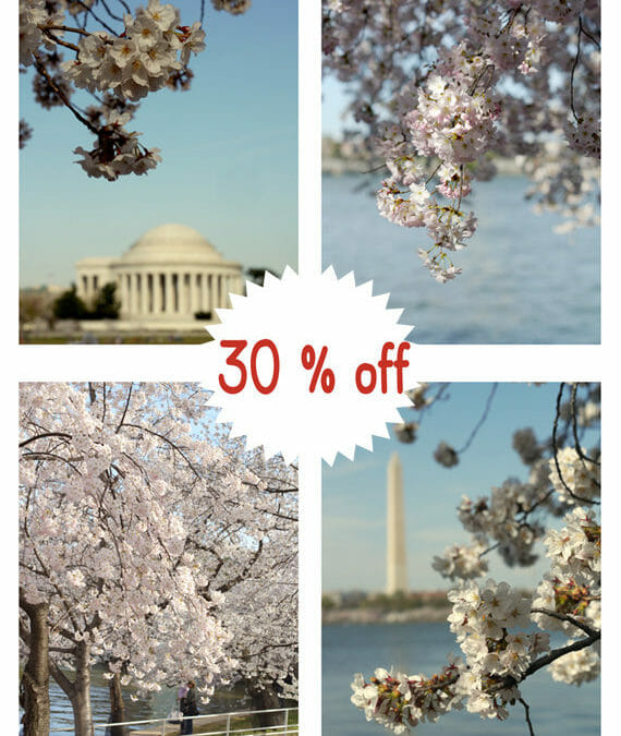 Washington DC Wall Art Photography Set | Cherry Blossom Wall Decor