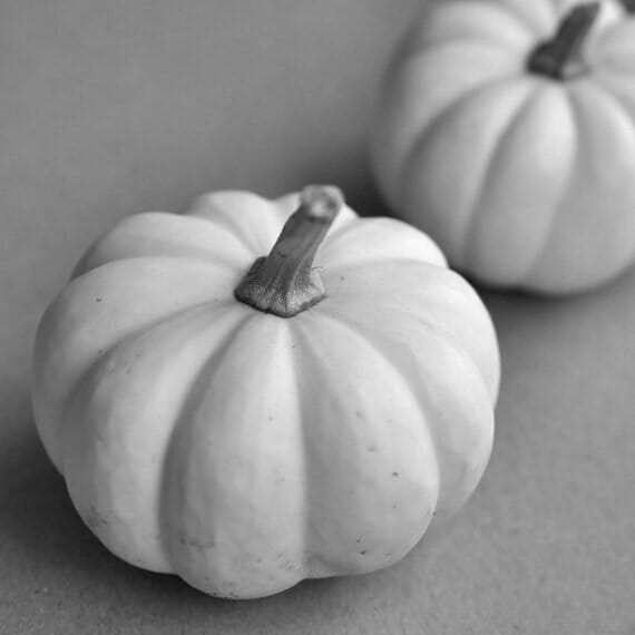 Black and White Pumpkins Wall Art | Dining Room Wall Decor