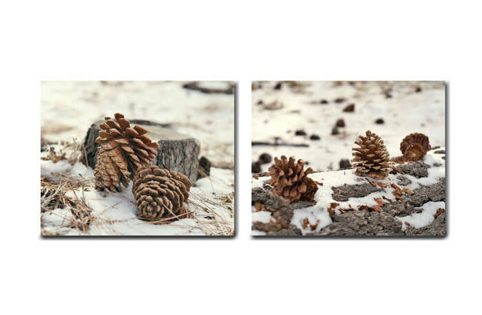 Rustic Winter Pine Cone Wall Art | Set of 2 Prints or Canvas