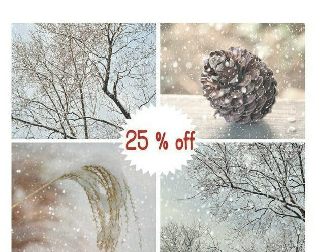 Winter Photography Wall Art | Shabby Chic Holiday Decor | Snow Trees Pine Cone