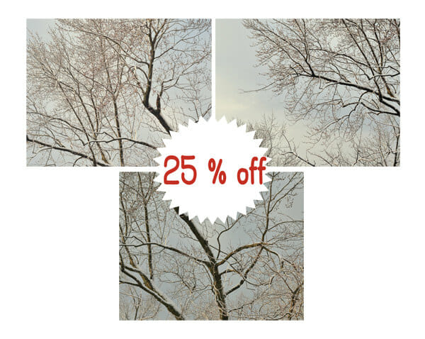 Winter Tree Nature Wall Art | Snow Branches Photography Set of 3