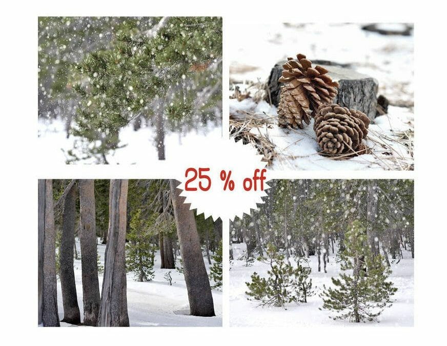 Winter Wall Art Set of 4 | Trees Forest Snow | Cabin Wall Decor