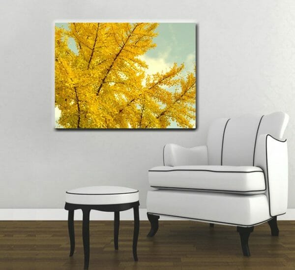 yellow ginkgo biloba tree wall art