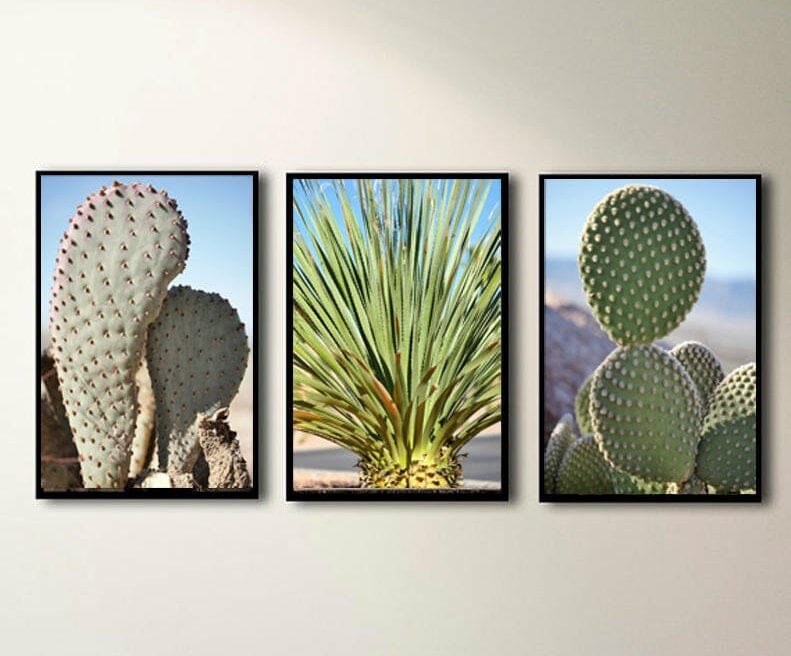 Desert Chic Wall Art | Southwestern Wall Decor | Cactus Wall Art Prints