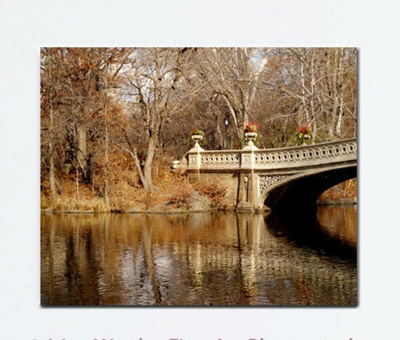 Central Park Fall Foliage Photography to Make Your Heart Sing