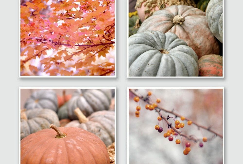 Fall Pumpkins and Leaves Photography | Rustic Wall Art Set of 4