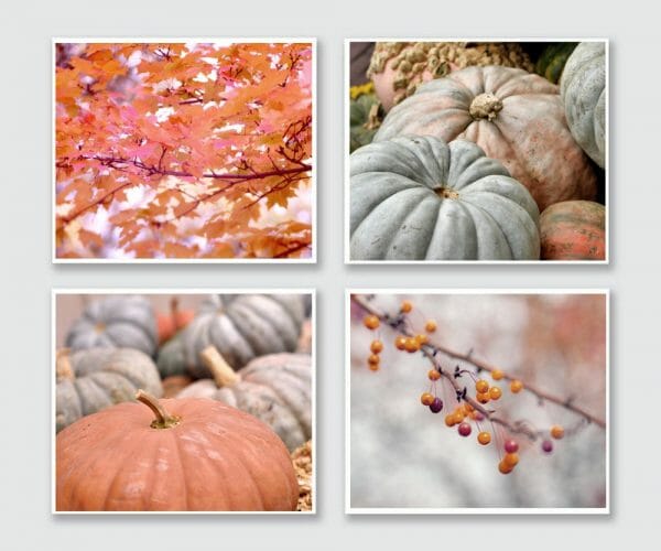 Autumn Pumpkins and Leaves Photography | Rustic Wall Art Set of 4