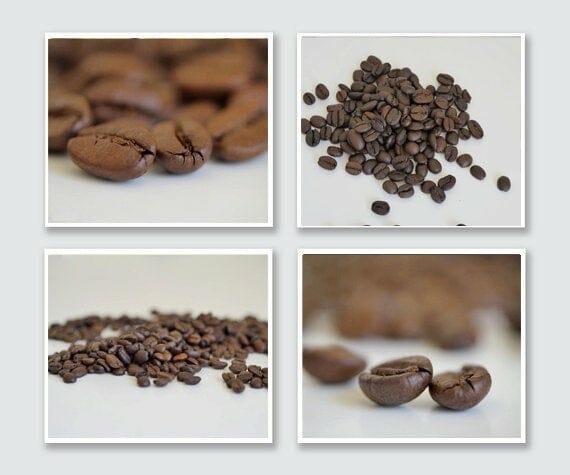 Coffee Bean Photography | Set of 4 | Modern Kitchen Decor